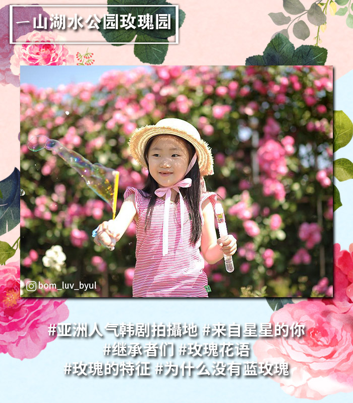 [主题频道/庆典] 首尔&首尔近郊灿烂的玫瑰庆典总整理